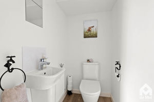 Photo 9- click for photo gallery